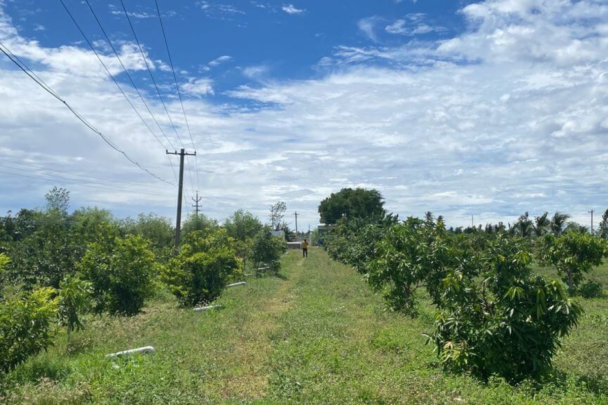 Kovilpatti resort Site 2